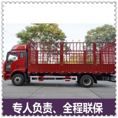 中山到滄州貨運公司-中山到滄州承運商