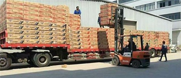 深圳到左貢貨運大件運輸-深圳到左貢貨運回程車