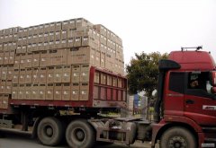 深圳到邳州物流幾天,貨運回程車