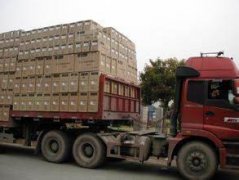 深圳到訥河整車物流公司多錢